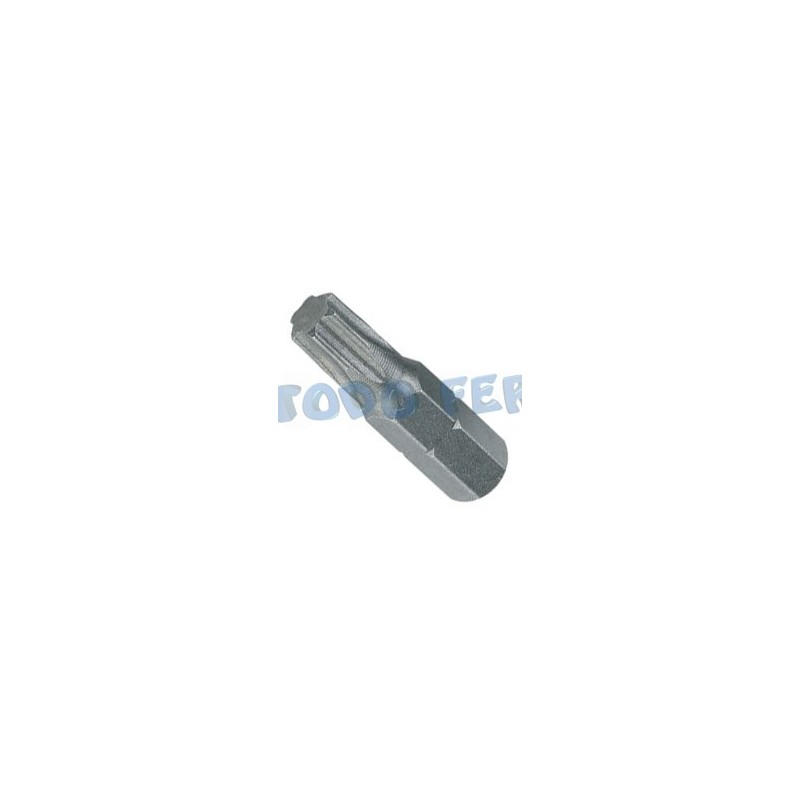 PUNTA ATOR. CROSS TORX 10X25MM(10U)